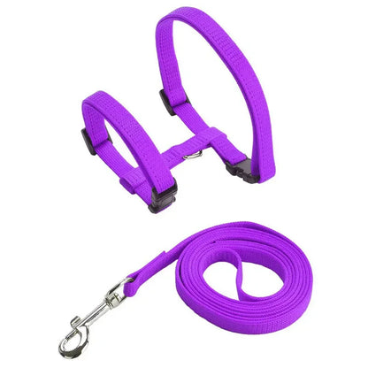 Collier de harnais anti-évasion pour chat