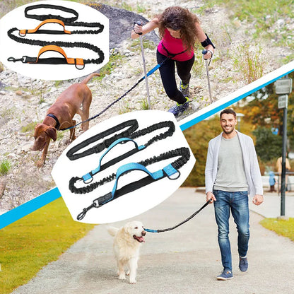 ActiveFlex Hands-Free Leash