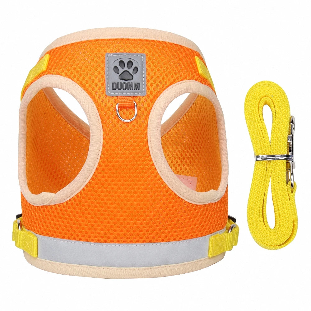 Harness Breathable for Cats